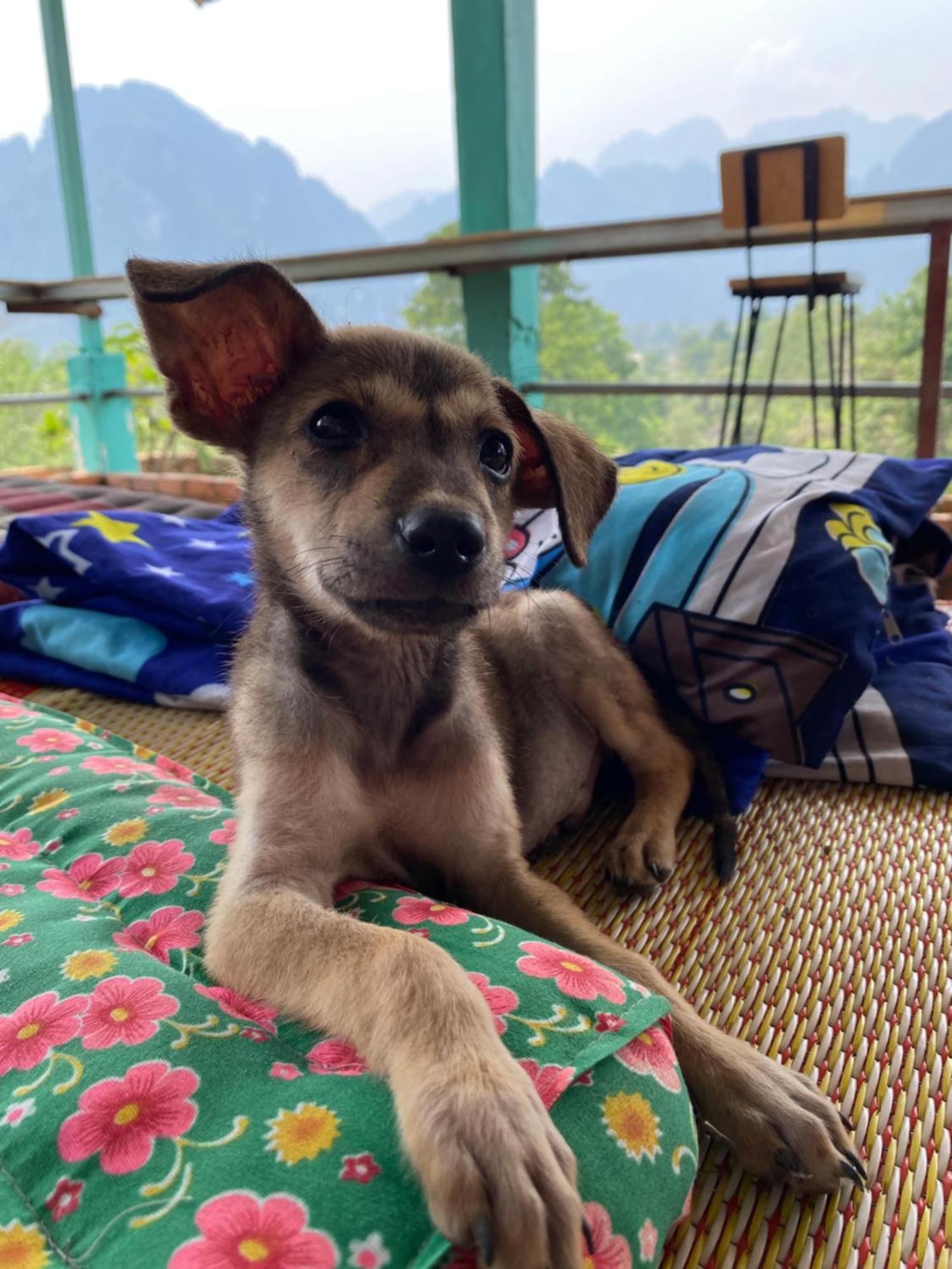 Blue Sunset Hostel Vang Vieng Zewnętrze zdjęcie